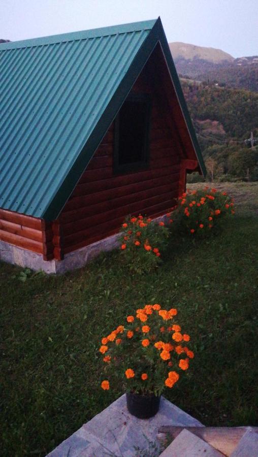 Etno Selo Zuric Chalet Mojkovac